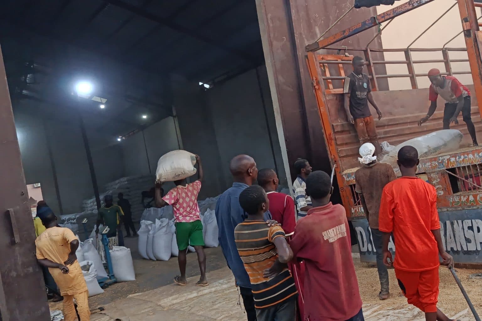 Inside the store at Zaria: bagged grain stacked along the wall while a lorry is loaded at the door.